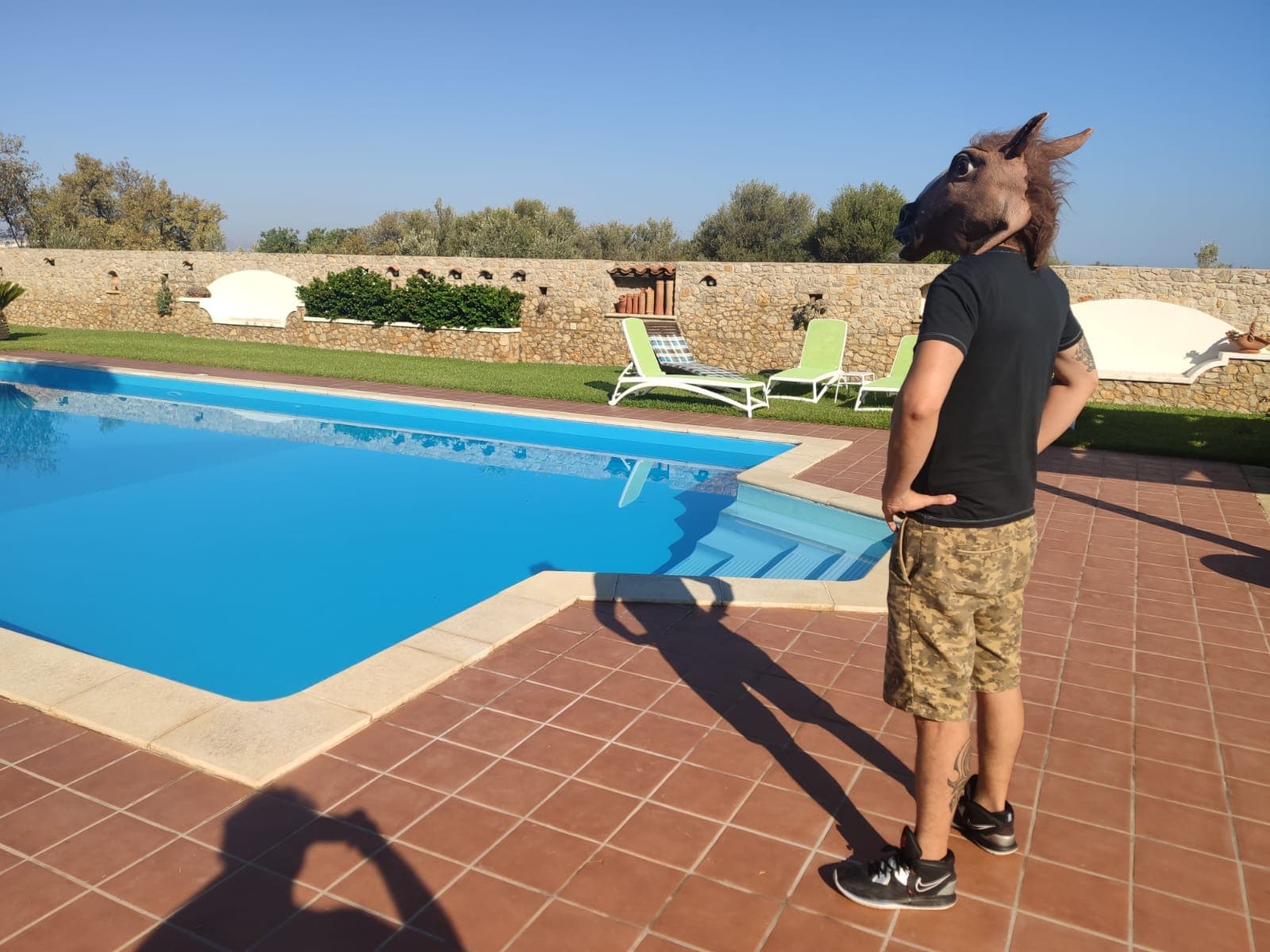 bitRocket.dev memory